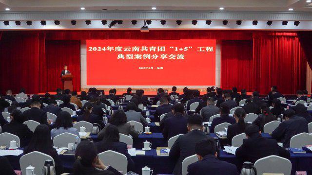 云南共青團發布2024年度“1+5”工程典型案例(圖1)