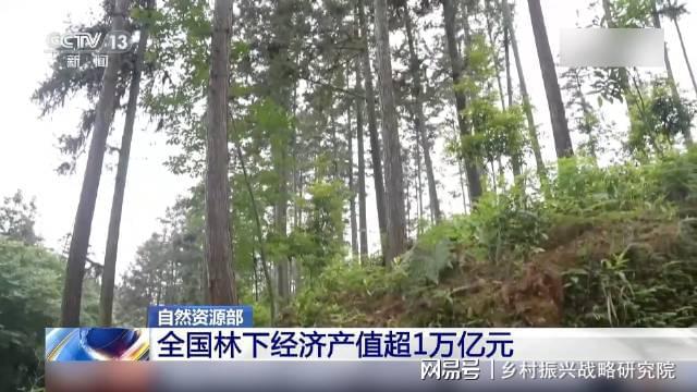 林下經(jīng)濟高質(zhì)量發(fā)展的機遇與挑戰(zhàn)——全國典型案例的實踐分析報告(圖1)