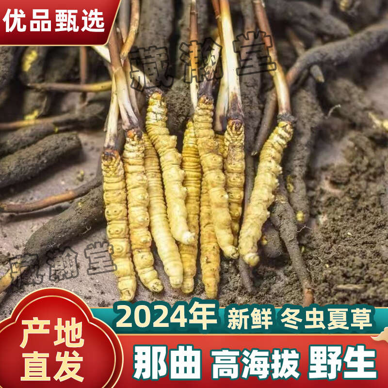 眾興菌業(yè)2024年報(bào)：凈利潤大幅下滑198%市場調(diào)整能否逆轉(zhuǎn)頹勢？(圖1)